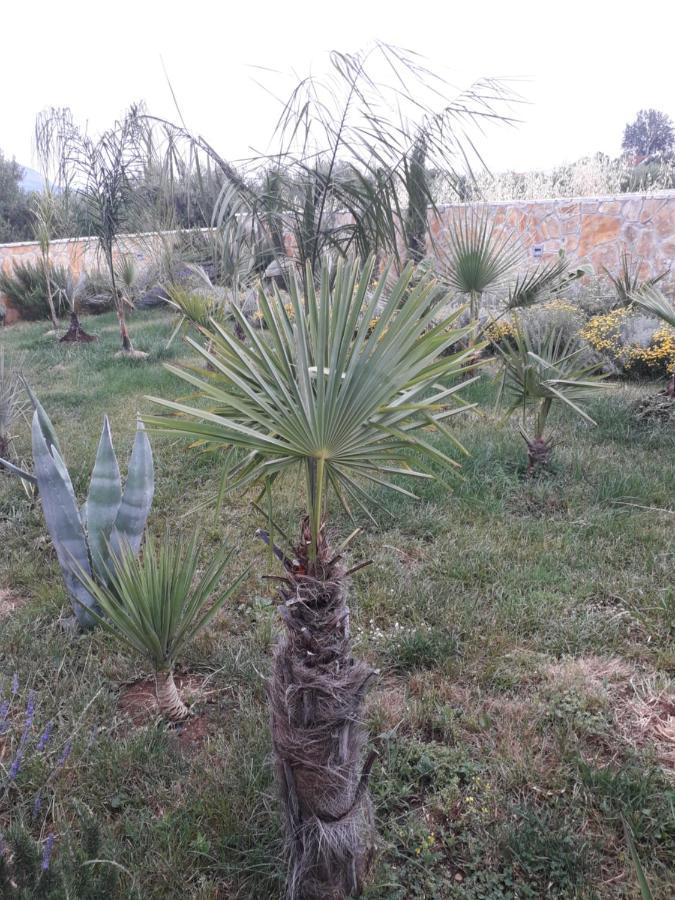 Palm Paradise Stobreč 外观 照片